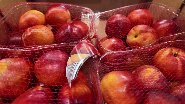 فروش یاب - خرید عمده میوه با کیفیت - آگهی تجاری