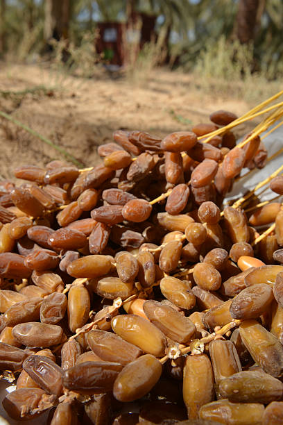 خرید عمده خشکبار اعلا، پسته و بادام با قیمت رقابتی | فروش یاب، خرید و فروش عمده، آگهی تجاری