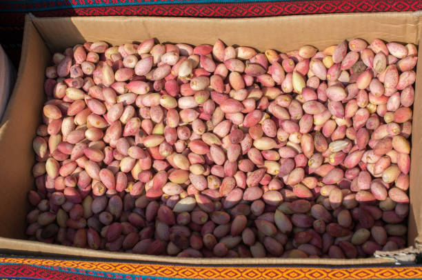 فروش عمده پسته اکبری اعلا | قیمت درب کارخانه در فروش‌یاب | نیازمندی‌های تجاری