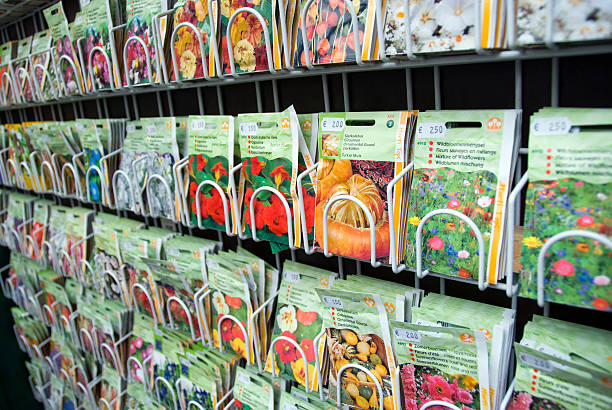 فروش عمده بذر و نهال در فروشیاب: بازار عمده فروشان و نیازمندیهای تجاری