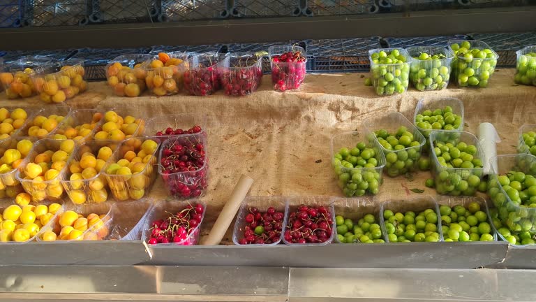 فروش عمده میوه فصلی و ارتباط مستقیم با باغداران در فروش یاب، خرید و فروش عمده، آگهی تجاری