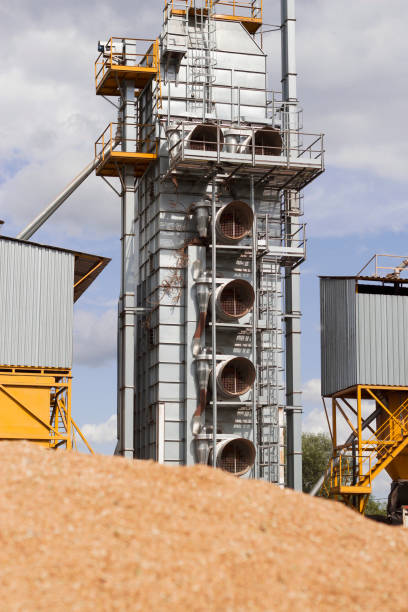 قیمت رقابتی خشکبار در فروش‌یاب | خرید و فروش عمده، آگهی تجاری