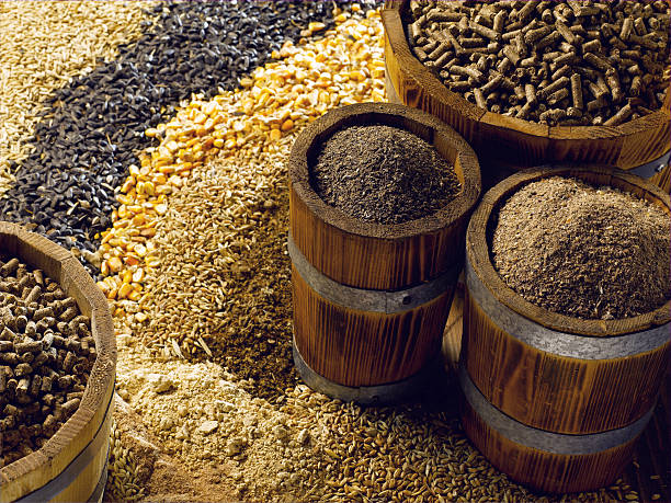 دامپروری: خوراک دام و طیور، تجهیزات و نهاده‌ها - فروش یاب، خرید و فروش عمده، آگهی تجاری