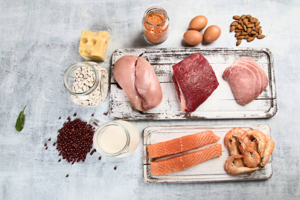 تامین پروتئین: فروش یاب، خرید مستقیم، دامپروری