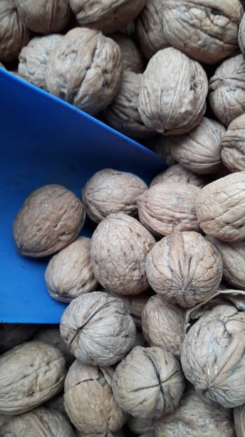 فروش یاب، خرید عمده خشکبار، بازار عمده فروشان