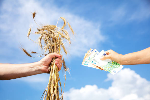 فروش مستقیم محصولات کشاورزی | فروش یاب، ثبت آگهی، آگهی تجاری