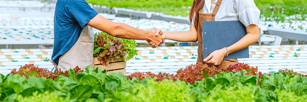 بازاریابی محصولات زراعی و ثبت آگهی کشاورزی موثر در فروش یاب