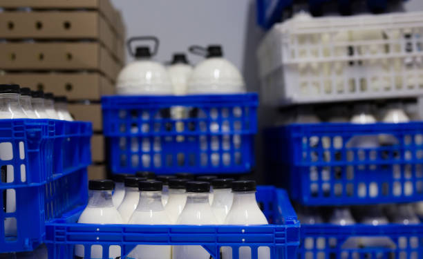 لبنیات عمده و تازه | شیر تازه گاو در بسته‌بندی‌های عمده در فروش یاب برای خرید و فروش عمده و آگهی تجاری