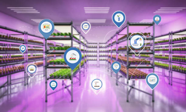 فروش‌یاب: بهترین بستر برای خرید و فروش عمده محصولات کشاورزی - فروش یاب خرید و فروش عمده