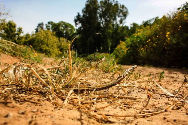 فروش عمده انواع شال و روسری جدید | قیمت همکاری ویژه بوتیک‌ها در فروش‌یاب | خرید عمده روسری جدید