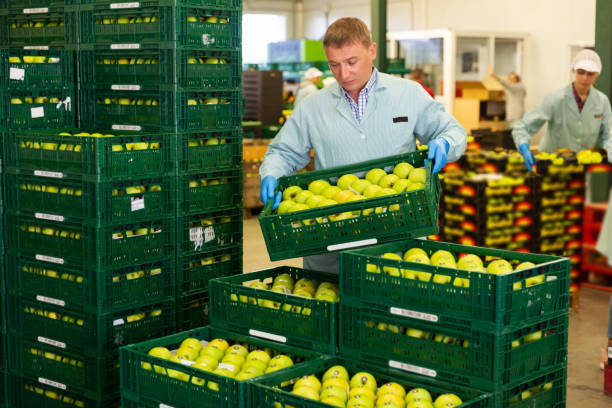 خرید عمده خشکبار، میوه و صیفی‌جات با بهترین قیمت در فروش‌یاب 09927028463 - خرید عمده خشکبار و میوه، ثبت آگهی