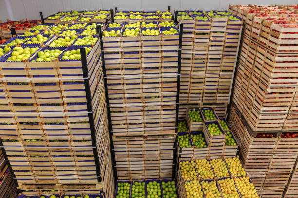 میوه و صیفی‌جات آماده برای تأمین عمده در فروش یاب - خرید و فروش عمده، آگهی تجاری