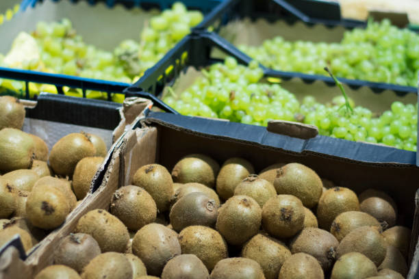 خرید و فروش عمده محصولات کشاورزی با قیمت رقابتی در فروش‌یاب - فروش یاب، خرید و فروش عمده، آگهی تجاری