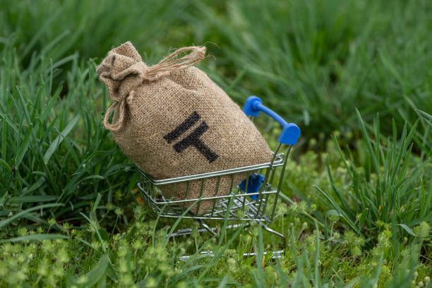 قیمت رقابتی کشاورزی | فروش یاب، خرید و فروش عمده، نیازمندی‌های تجاری