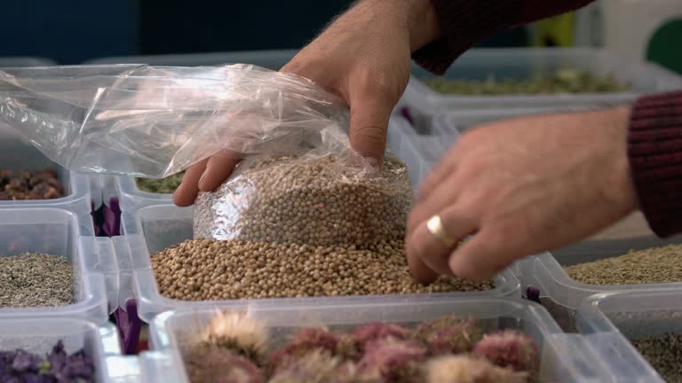 بازار عمده فروشان محصولات کشاورزی و بذر و نهال در فروش یاب برای خرید و فروش عمده