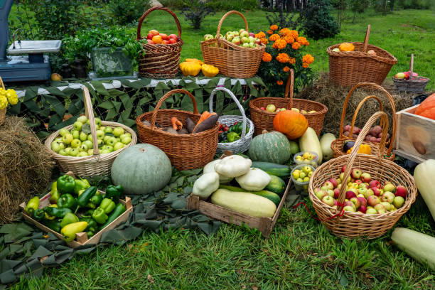 فروش عمده و خرده محصولات باغی و زراعی در فروش یاب با قیمت رقابتی