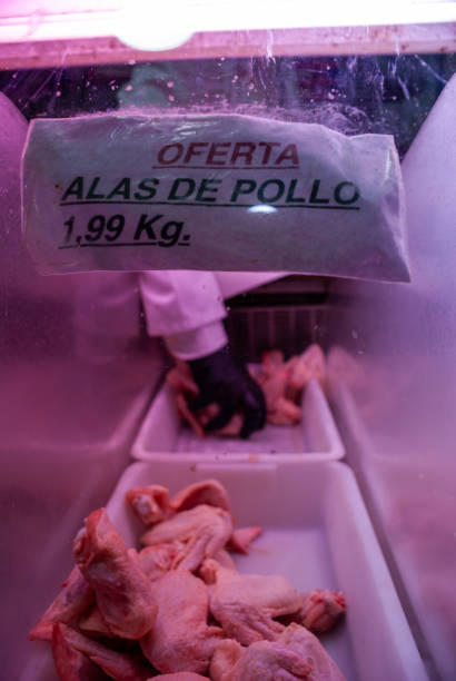 فروش عمده مرغ با قیمت رقابتی در فروشیاب | آگهی عمده فروشی