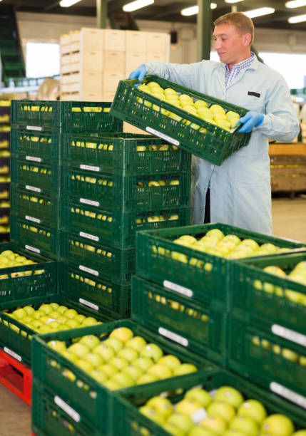 فروش‌یاب: انتخاب اول برای خریدهای عمده میوه و صیفی‌جات تازه - تامین عمده میوه با فروش یاب