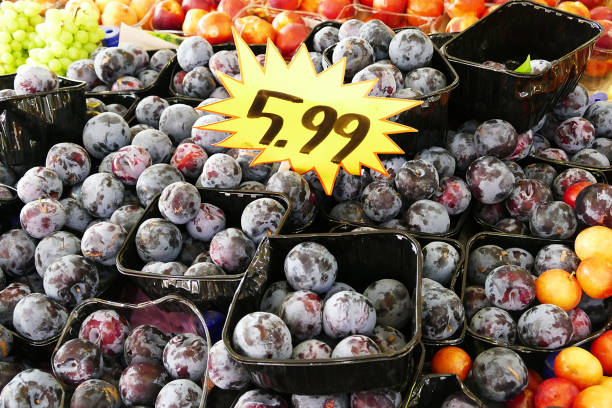 خرید عمده میوه و صیفی جات در فروش یاب | فروش یاب، خرید و فروش عمده، آگهی تجاری