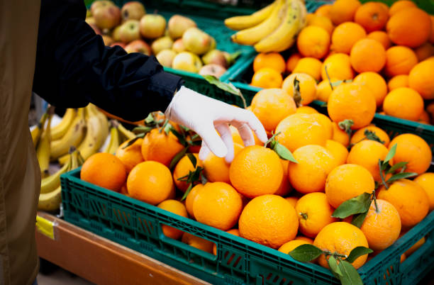 فروش‌یاب: انتخاب اول برای خریدهای عمده میوه و صیفی‌جات تازه - قیمت رقابتی و تنوع آگهی‌ها