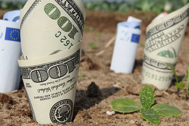 سودآوری و افزایش درآمد با خرید و فروش عمده در فروش یاب