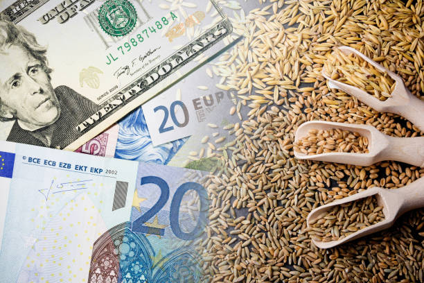 خرید و فروش عمده محصولات کشاورزی | قیمت رقابتی، بازار کشاورزی، فروش یاب