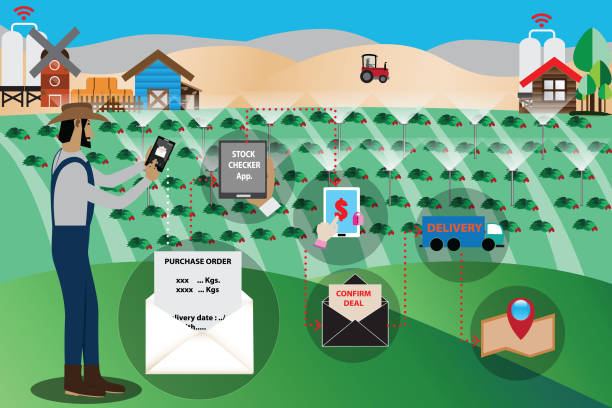 میوه و صیفیجات عمده: مستقیم از مزارع ایران در فروشیاب | ثبت آگهی و خرید مستقیم در فروش یاب