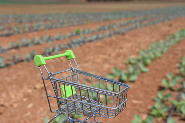 خرید مستقیم از فروشنده در فروشیاب - فروش عمده، آگهی عمده فروشی