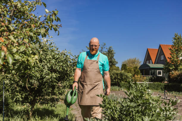 فروش‌یاب، پلتفرم نیازمندی‌های تجاری برای خرید و فروش عمده میوه و صیفی‌جات