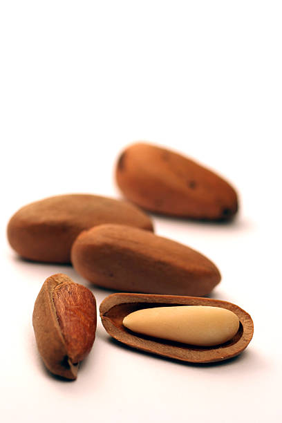 فروش مستقیم بادام و خشکبار با کیفیت در فروش یاب، پلتفرم آگهی عمده فروشی