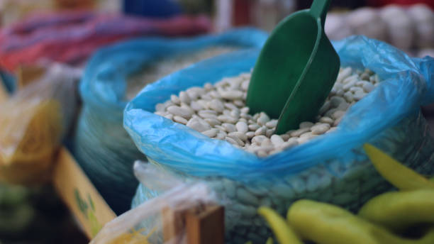 بذر و نهال کشاورزی عمده: خرید مستقیم از فروشنده در فروش یاب