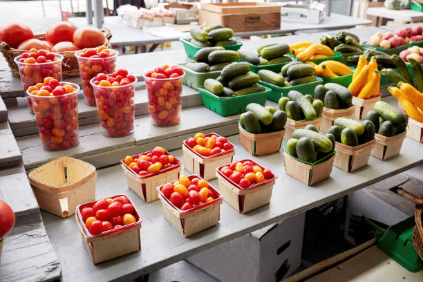 بازار عمده فروشی کشاورزی | تنوع محصولات در فروش یاب