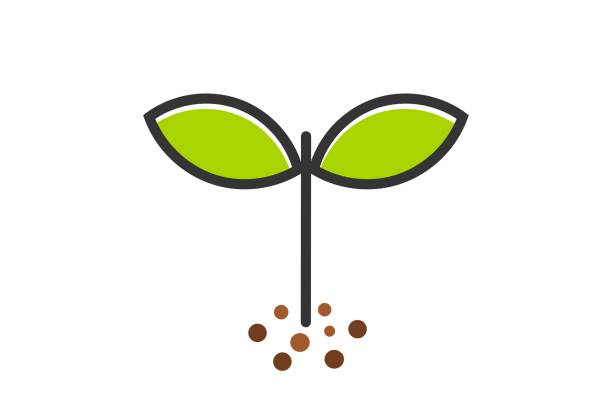 بذر و نهال کشاورزی عمده: ثبت آگهی و خرید و فروش عمده در فروش یاب