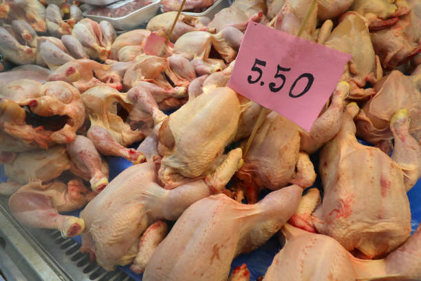 خرید عمده مواد پروتئینی (گوشت، مرغ) | قیمت تولیدی در فروش‌یاب - مرغ آماده برای فروش عمده با قیمت رقابتی در فروش‌یاب