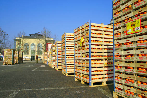 بازار عمده فروشان میوه و صیفی‌جات در فروش‌یاب