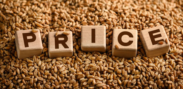 خرید و فروش عمده خشکبار با قیمت رقابتی | فروش یاب، خرید و فروش عمده، آگهی تجاری