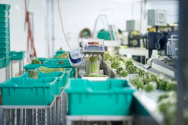 برای کشاورزی، مواد غذایی، صنعتی و خانگی: آگهی عمده در فروش‌یاب - محصولات عمده کشاورزی، خرید عمده، فروش یاب