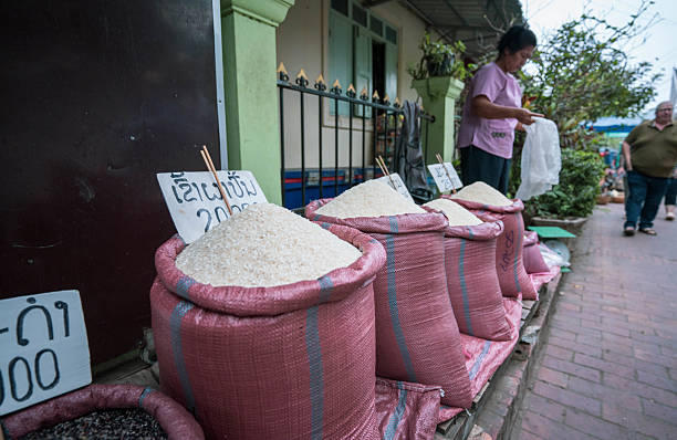 خرید مستقیم برنج هاشمی گیلان | فروش یاب، خرید و فروش عمده، آگهی تجاری