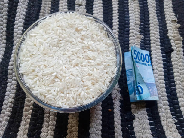 خرید و فروش برنج هاشمی | فروش یاب، خرید مستقیم از فروشنده، آگهی تجاری