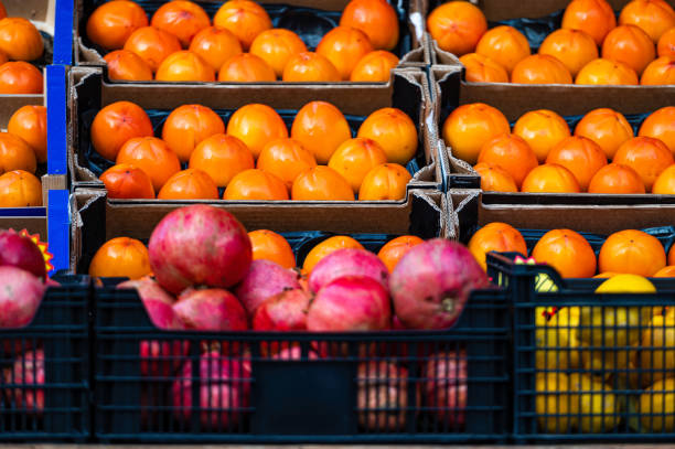 فروش مستقیم میوه و صیفی‌جات تازه عمده | فروش یاب، خرید و فروش عمده، آگهی تجاری