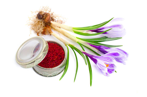 فروش عمده زعفران نگین درجه یک | خرید مستقیم از تولیدکننده در فروش یاب | آگهی تجاری