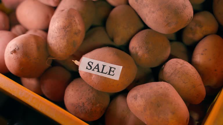 فروش مستقیم محصولات کشاورزی: فروش عمده سیب زمینی در انبار با برچسب فروش یاب و قیمت رقابتی