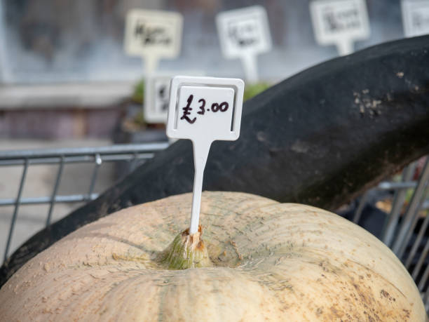 قیمت مناسب محصولات کشاورزی و قیمت رقابتی در فروش یاب - نیازمندی های تجاری