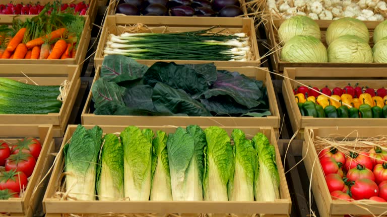 غلات و حبوبات عمده: نیازمندیهای تجاری در فروش یاب، خرید عمده غلات