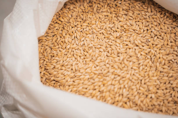 آگهی تجاری حبوبات و غلات با کیفیت بالا در فروش‌یاب، فرصت فروش عمده و خرید مستقیم