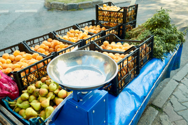 فروش میوه و غلات تازه در فروش یاب، آگهی عمده فروشی، نیازمندی‌های تجاری