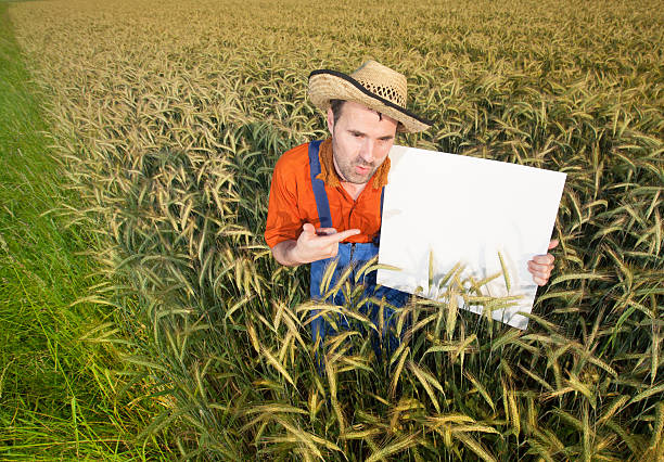 فروشیاب: ثبت آگهی رایگان برای فروش عمده محصولات کشاورزی - فروش عمده، آگهی تجاری