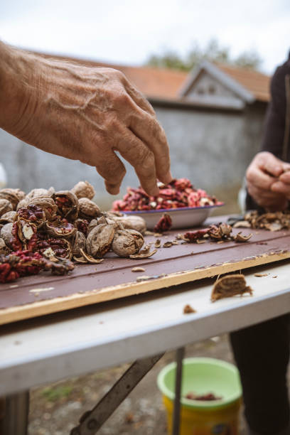 خرید خشکبار از باغدار در فروش یاب، آگهی عمده فروشی خشکبار، نیازمندی‌های تجاری