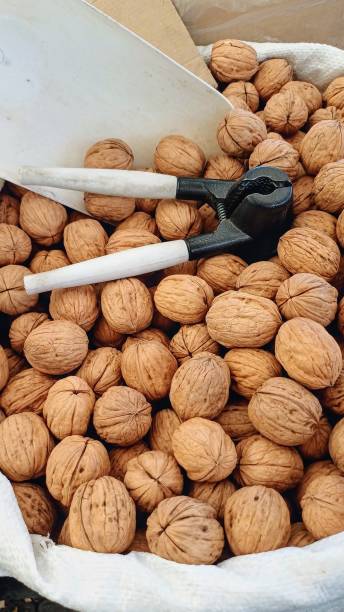 خرید عمده خشکبار: پسته، بادام، گردو با قیمت مستقیم از تولیدکننده در فروش‌یاب - فروش مستقیم گردو، آگهی تجاری، نیازمندی‌های تجاری