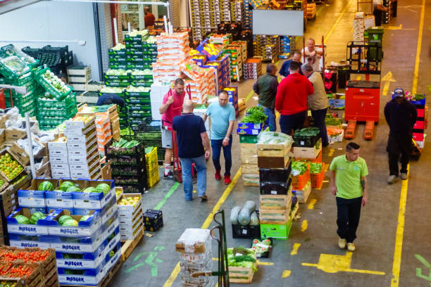 تنوع آگهیها در بازار عمده فروشان فروش یاب - نیازمندیهای تجاری